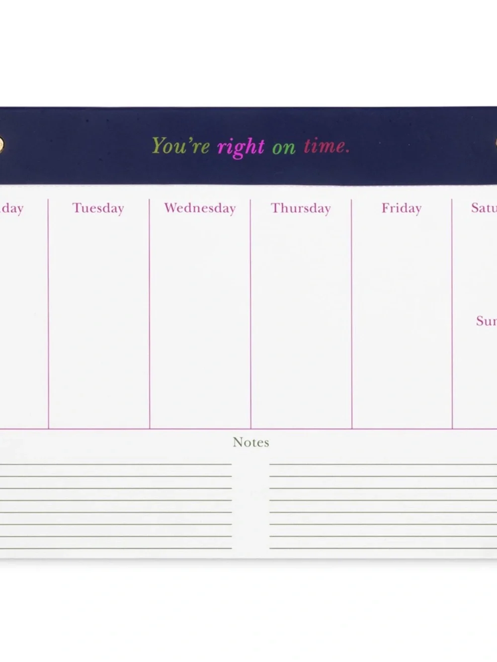 kate spade undated weekly